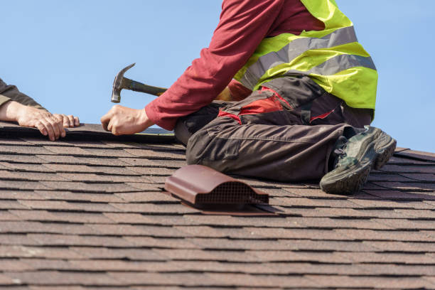 Roof Gutter Cleaning in Sullivan, IL