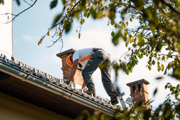 Best New Roof Installation  in Sullivan, IL