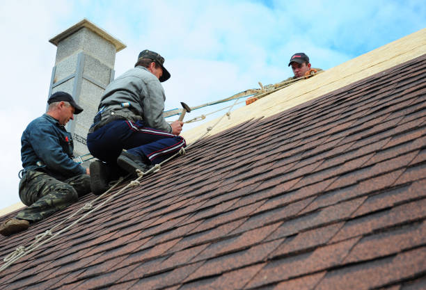 Best Roof Repair Services  in Sullivan, IL